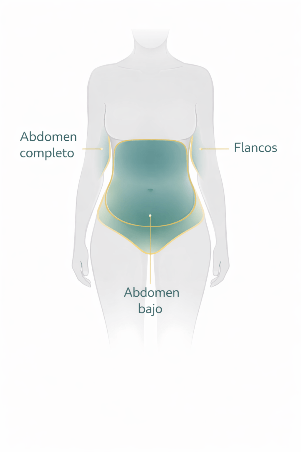 Zonas de tratamiento para grasa abdominal